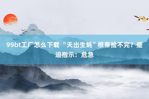 99bt工厂怎么下载 “天出生蚝”根蒂捡不完？蹙迫指示：危急