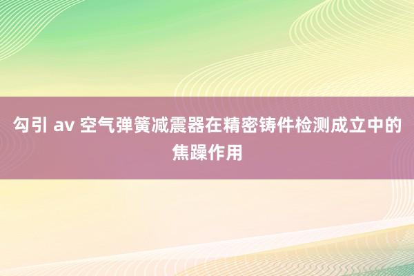 勾引 av 空气弹簧减震器在精密铸件检测成立中的焦躁作用