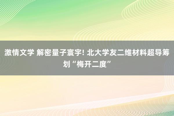 激情文学 解密量子寰宇! 北大学友二维材料超导筹划“梅开二度