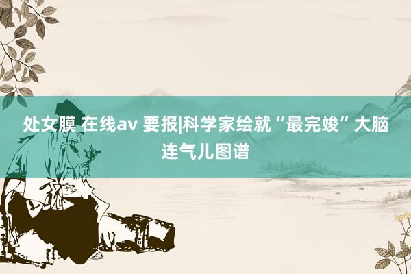 处女膜 在线av 要报|科学家绘就“最完竣”大脑连气儿图谱